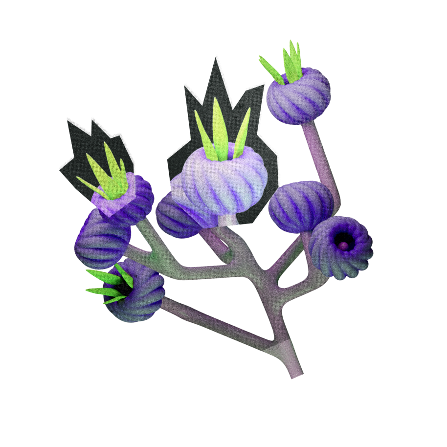 Магазин идей - Палиндром