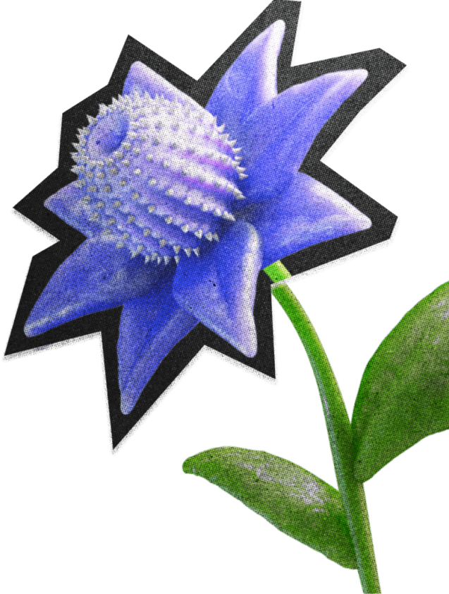 Магазин идей - Палиндром