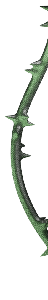 Магазин идей - Палиндром